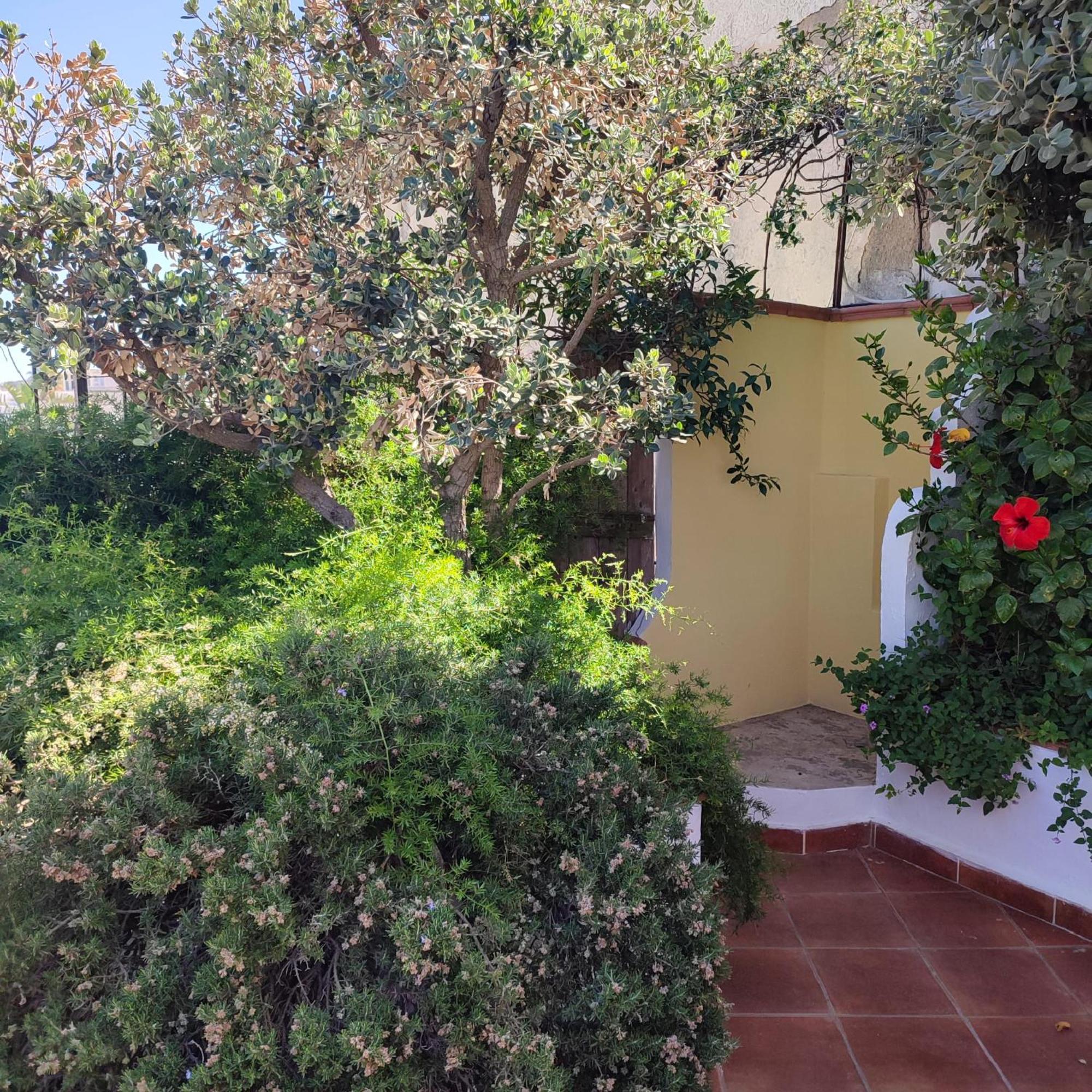 Hotel Villa Verde Forio  Ngoại thất bức ảnh